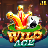 Wild Ace RTP icon